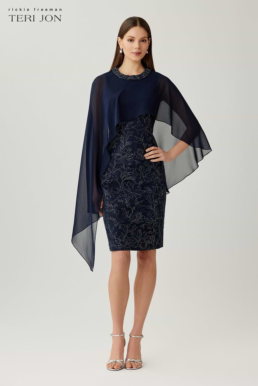 Chiffon Overlay Embroidered Lace Dress